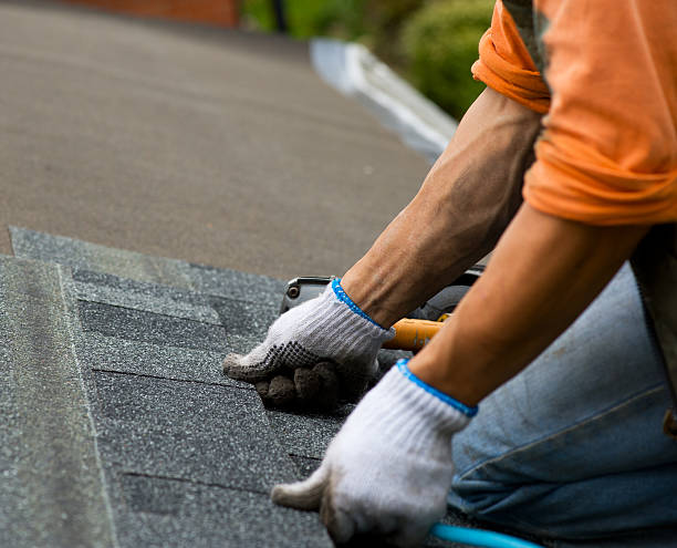 Roof Gutter Cleaning in Dearborn Heights, MI